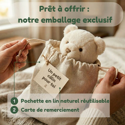 Mon P'tit Corbeau Voyageur (11.5cm)
